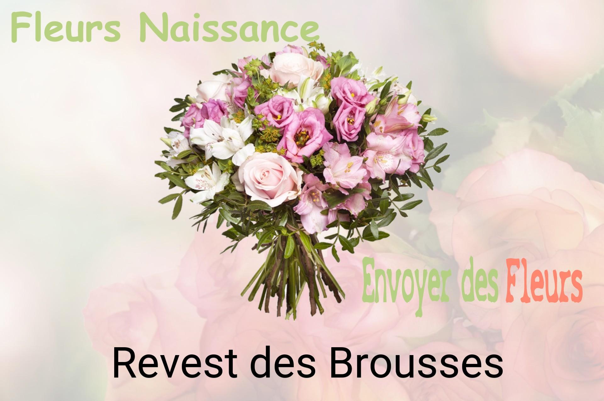 Bouquet de fleurs de naissance livré à Revest-des-Brousses